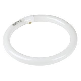 GE Cool White Circline 12" 32 Watt Fluorescent Light Bulb   #98040