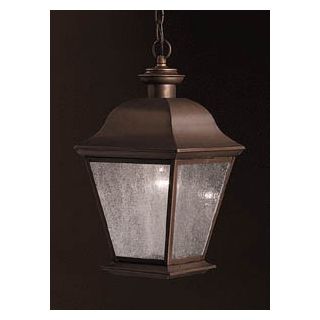 Kichler Mount Vernon 18" High Outdoor Hanging Light   #22898