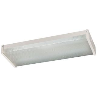 Clear Acrylic Utility Light 24" Wide Ceiling Fixture   #H8946