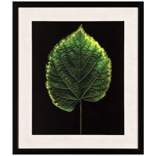 Green Leaf 29" High Wall Art   #J5972