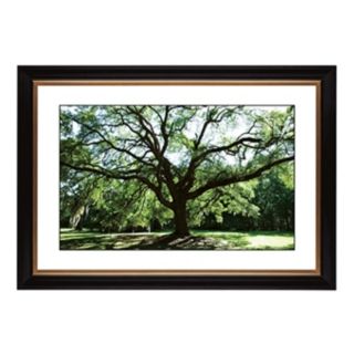 Spreading Tree Giclee 41 3/8" Wide Wall Art   #57760 80384