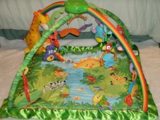 Rainforest Melodies Lights Deluxe Jungle Gym Wonderful Baby Gym