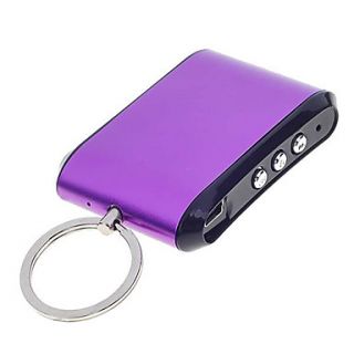 usb chaveiro moldura   roxo (107 imagem memória de armazenamento