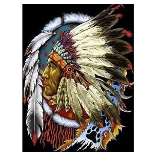 Wall Art  Posters  INDIAN CHIEF WHITE CLOUD Poster
