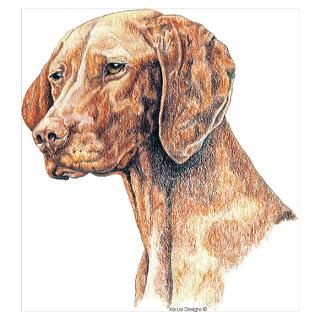 Wall Art  Posters  Vizsla Dog Portrait Poster