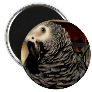 African Grey Gifts  African Grey Kitchen and Entertaining  Magnet
