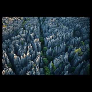 Limestone pinnacles rise in western Madagascar  National Geographic