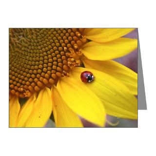 Lady Bug On Sunflower Note Cards (Pk of 10) by CreatorsTouchGifts