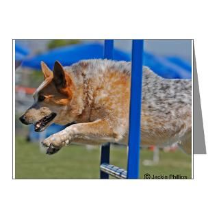 Australian Cattle Dog Thank You Note Cards
