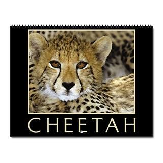 2013 Cheetah Calendar  Buy 2013 Cheetah Calendars Online
