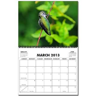 2010 Hummingbird 2013 Wall Calendar by EspiesHummers
