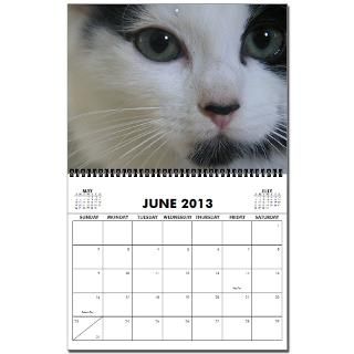 Cats Are People, Too 2008 2013 Wall Calendar by catsrpeople2