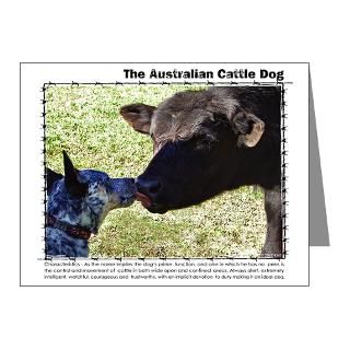 Acd Gifts  Acd Note Cards  Kissing Cows Note Cards (Pk of 10)