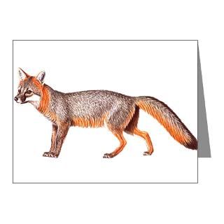  Animal Note Cards  Gray Fox Animal Lover Note Cards (Pk of 10