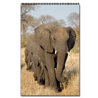 13 Photos African Wildlife Vertical Wall Calendar for