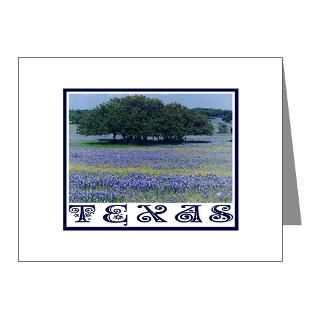 Gifts  Austin Note Cards  Texas Bluebonnets Note Cards (Pk of 10