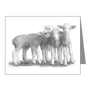 Gifts  Sheep Note Cards  Whisper Lambs Note Cards (Pk of 10