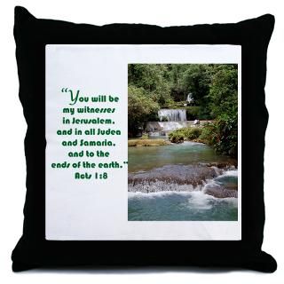 to any room with our roomy throw pillow it measures a sprawling 18 x