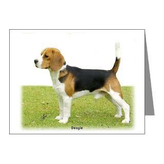 Gifts  Beagle Note Cards  Beagle 9J27D 02 Note Cards (Pk of 20