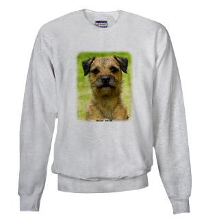 Border Terrier 8W44D 23 Sweatshirt