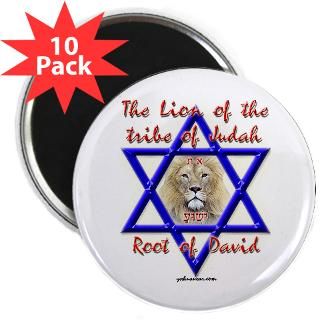 Kitchen and Entertaining  The Lion Of Judah 2.25 Magnet (10 pack