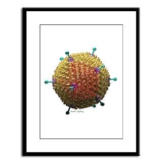 Adenovirus Ad 36  Russell Kightley Media Science Gifts