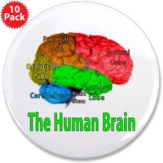 Amy Farrah Fowler Gifts  Amy Farrah Fowler Buttons  Brain 3.5