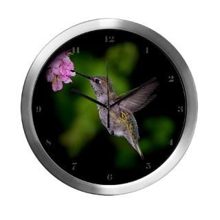 Annas Hummingbird Modern Wall Clock for $42.50