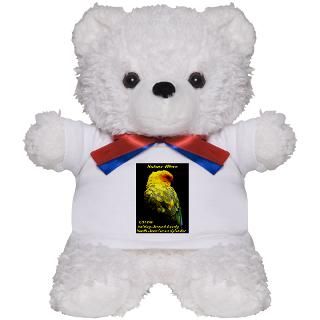 Carnival Teddy Bear  Buy a Carnival Teddy Bear Gift