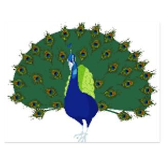 Peacock 5.5 x 4.25 Flat Cards