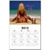 Sam Maxwells Wet & Wild Swimsuit 2013 Wall Calendar by poptshirts