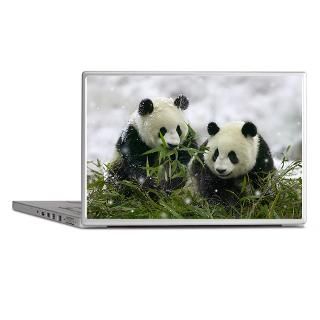 Bear Gifts  Bear Laptop Skins  Panda Bears Laptop Skins