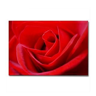 pack $ 15 99 red rose love 2 25 magnet 100 pk for valentine s $ 113 99