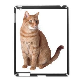 Animal Gifts  Animal IPad Cases  Orange cat iPad2 Case