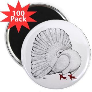 fantail white pigeon 2 25 magnet 100 pack $ 114 99