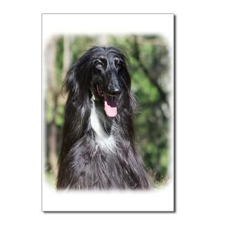 Afghan Hound AA017D 119 Postcards (Package of 8) for $9.50