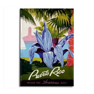 Puerto Gifts  Puerto Kitchen and Entertaining  Puerto Rico 2x3