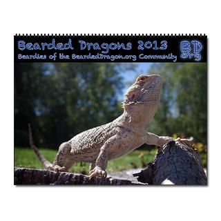2013 Bearded Dragon Calendar  Buy 2013 Bearded Dragon Calendars