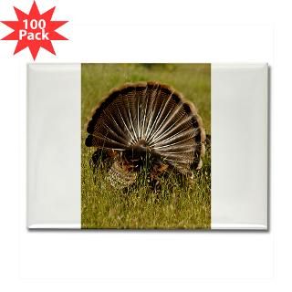 turkey fan rectangle magnet 100 pack $ 147 99