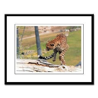 Large Framed Print Wild Baby Cheetah in Africa
