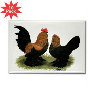Brown Red dUccle Bantams  Diane Jacky On Line Catalog