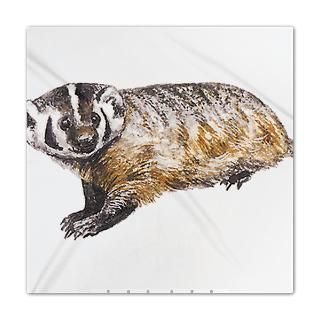 Badger  Pet Drawings