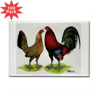 red gamefowl pair rectangle magnet 100 pack $ 154 99
