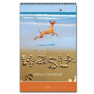 2013 Wirehaired Vizsla Calendar  Buy 2013 Wirehaired Vizsla Calendars