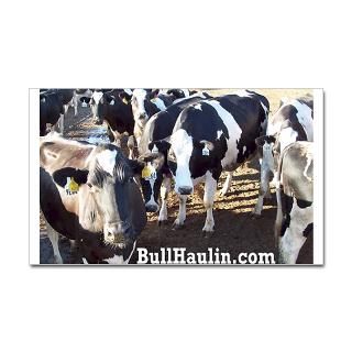 Bull Haulers Association Rectangle Sticker