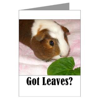 Got Leaves? Greeting Cards (Pk of 10) for