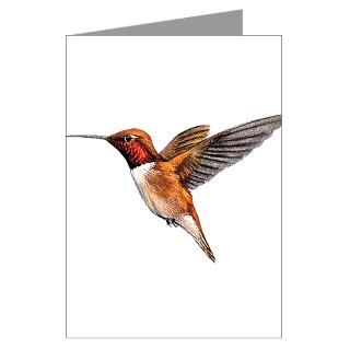 Rufous Hummingbird Birder Greeting Cards (Pk of 20 for
