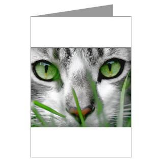 green eyes grey kitty Greeting Card for