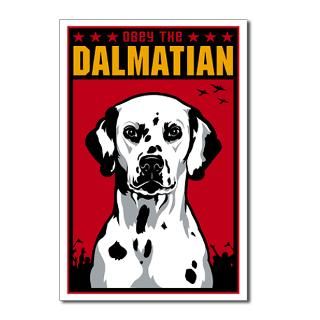 Dalmatian  Obey the pure breed The Dog Revolution
