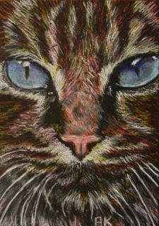 Original Art Tiger Tabby Cat Blue Eyes Anna Klein Prismacolor Art ACEO